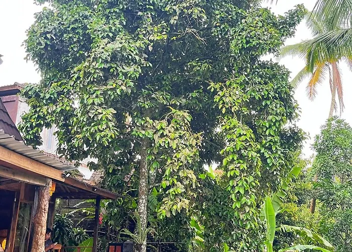 Unique Wooden House With A View Jungle 1br Private ヴィラ Tampaksiring